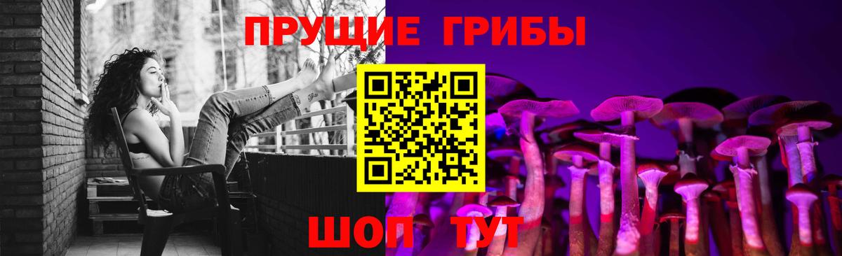 Псилоцибиновые грибы MAGIC MUSHROOMS  Псилоцибиновые грибы ЛСД  Вход с VPN  как найти закладки  Ангарск 